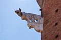 0245Palazzo Pubblico
